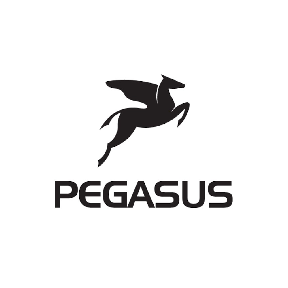 Pegasus
